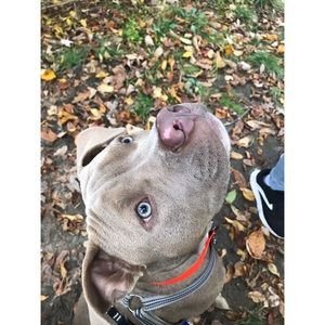 Meet your Posher, Michaela